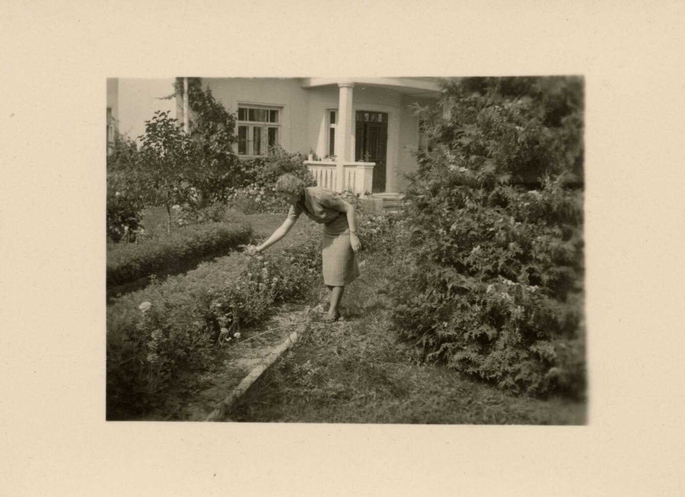 Nežinomas fotografas, Nežinoma moteris Obelynėje
