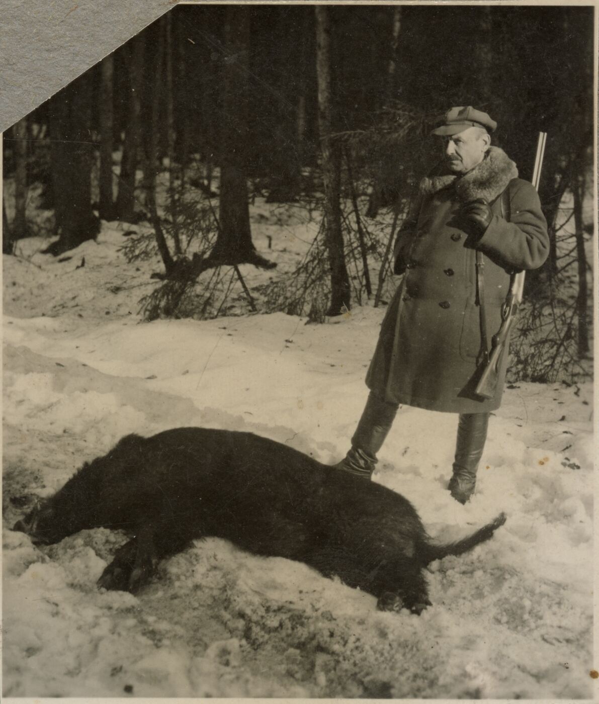 Nežinomas fotografas, Tadas Ivanauskas sumedžiojęs šerną