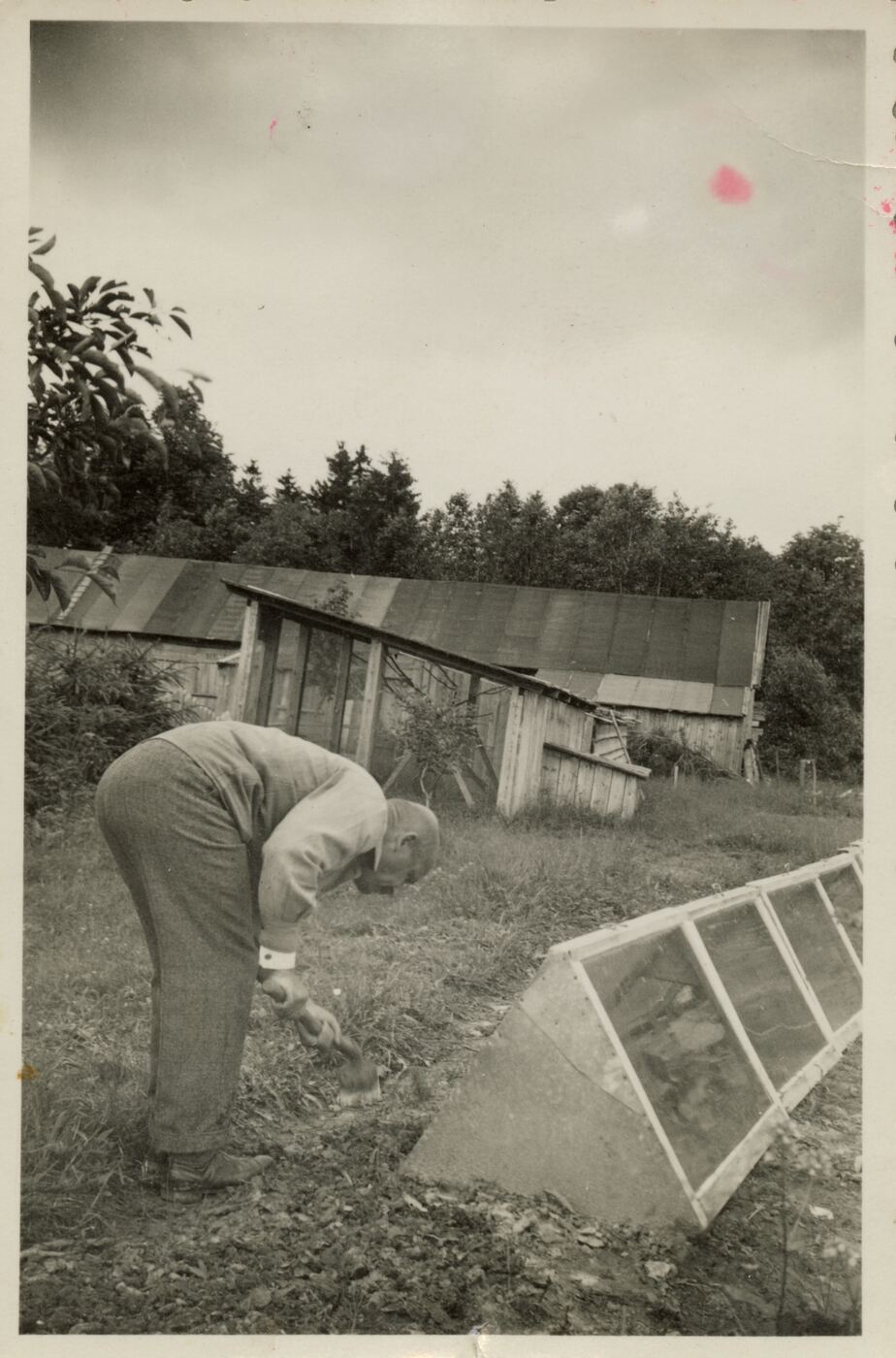 Nežinomas fotografas, Tadas Ivanauskas prie inspekto