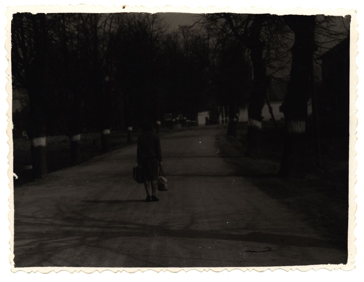 Juozas Naujokas, Instituto gatvė Raudondvaryje