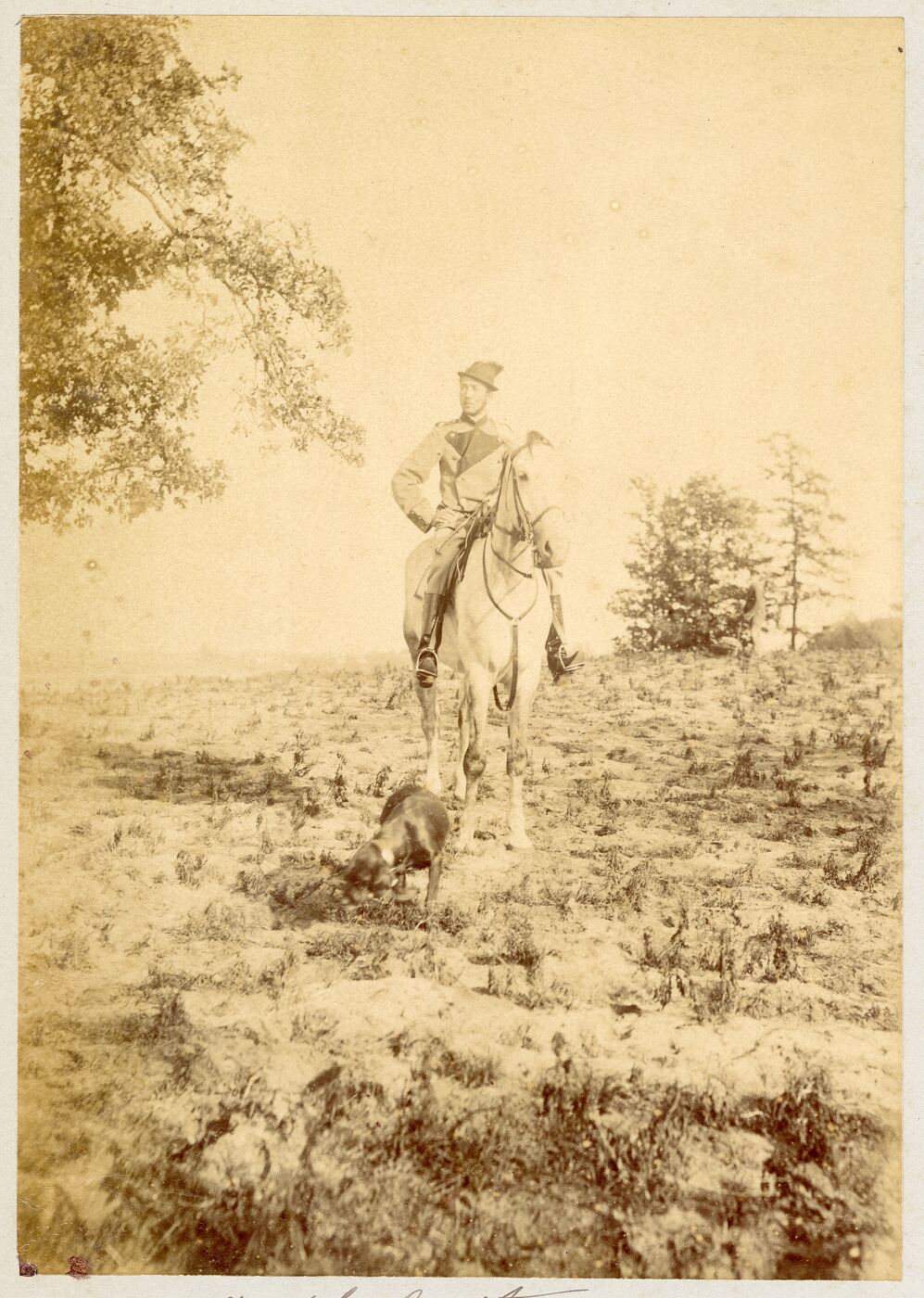 Benediktas Henrikas Tiškevičius, Voinovas. Grafo B. H. Tiškevičiaus sūnus Benediktas (I)