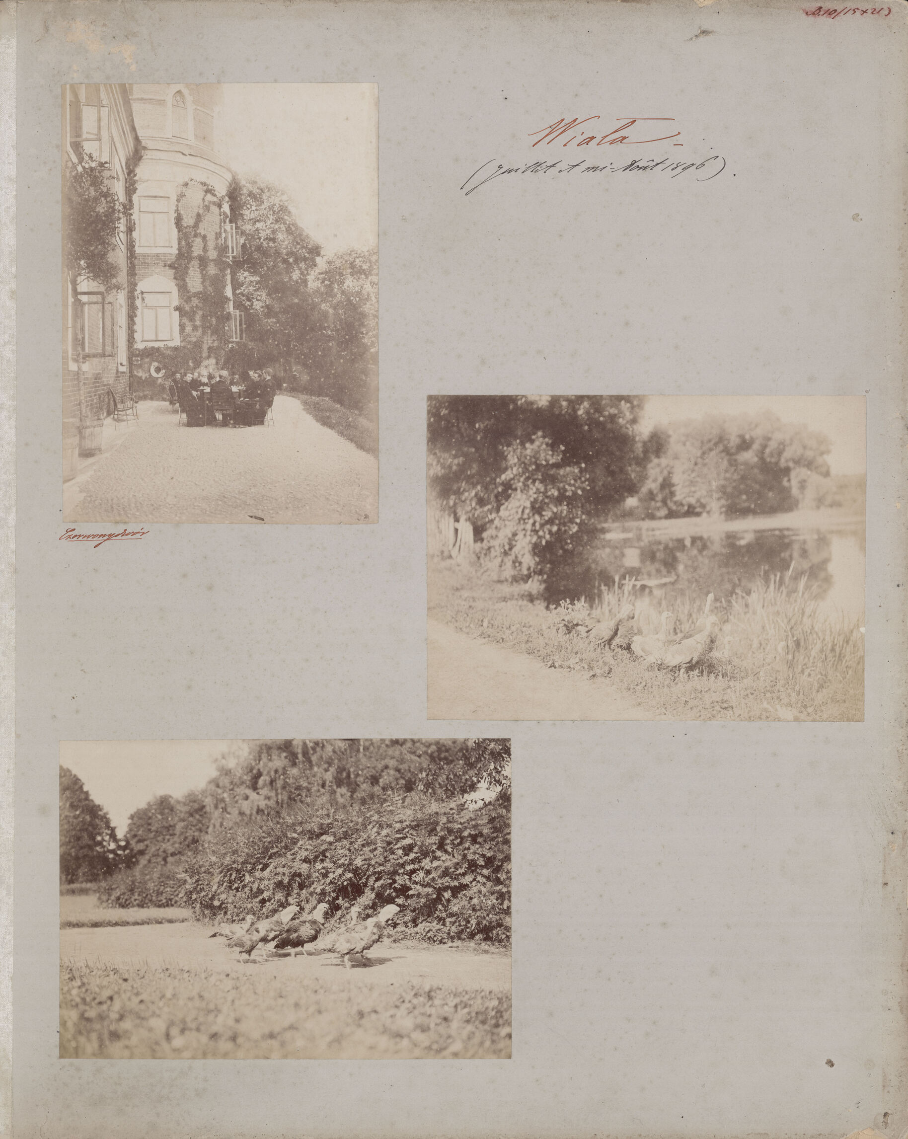 Benediktas Henrikas Tiškevičius, Kartono lakštas su trimis Benedikto Henriko Tiškevičiaus fotografijomis (Raudondvaris / Viala)