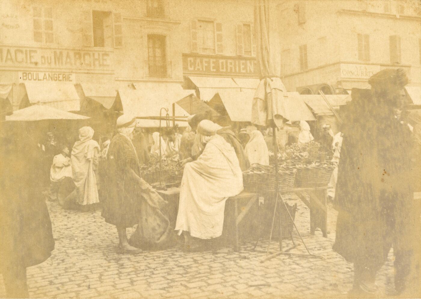 Benediktas Henrikas Tiškevičius, Alžyras. Turgus