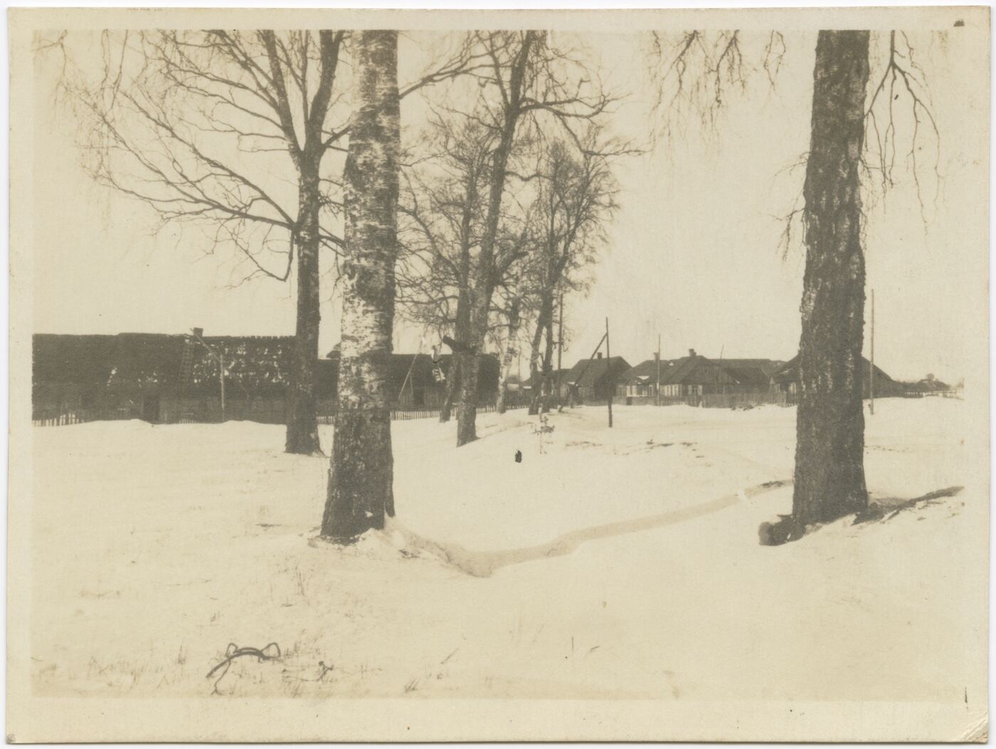 Nežinomas autorius, Žiemą