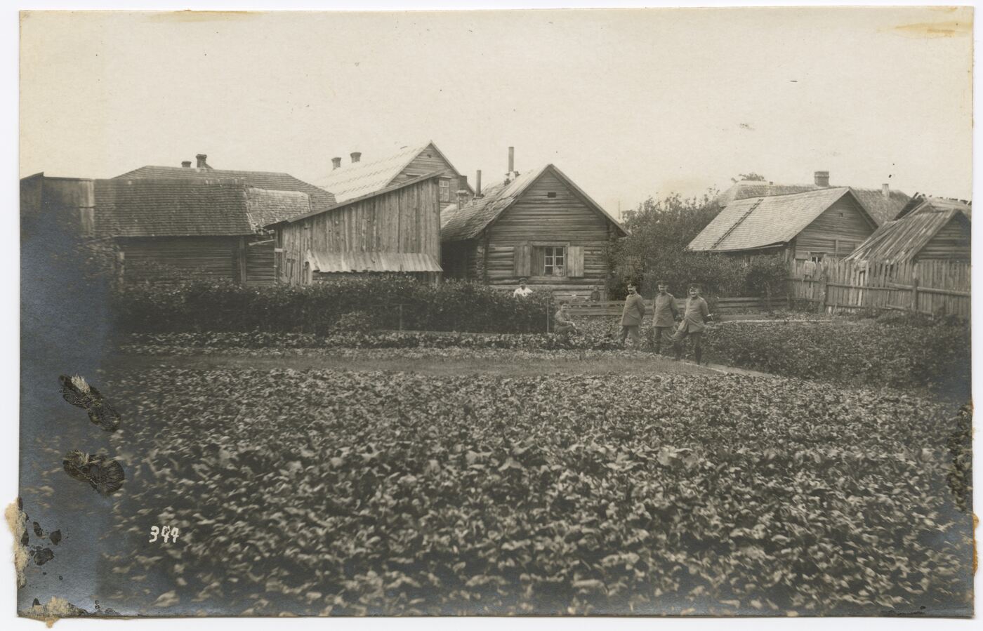 Nežinomas autorius, Darže