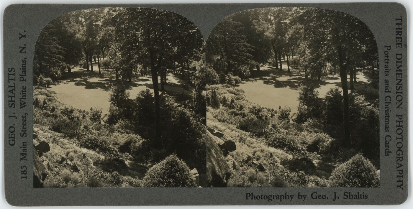Geo. J. Shaltis, Parkas Niujorke