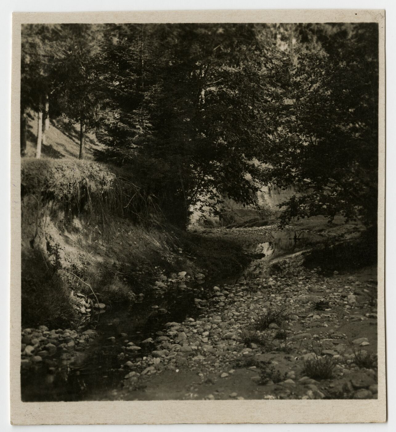 Nežinomas fotografas, Stereoskopinės fotografijos fragmentas. Plokščių apylinkės