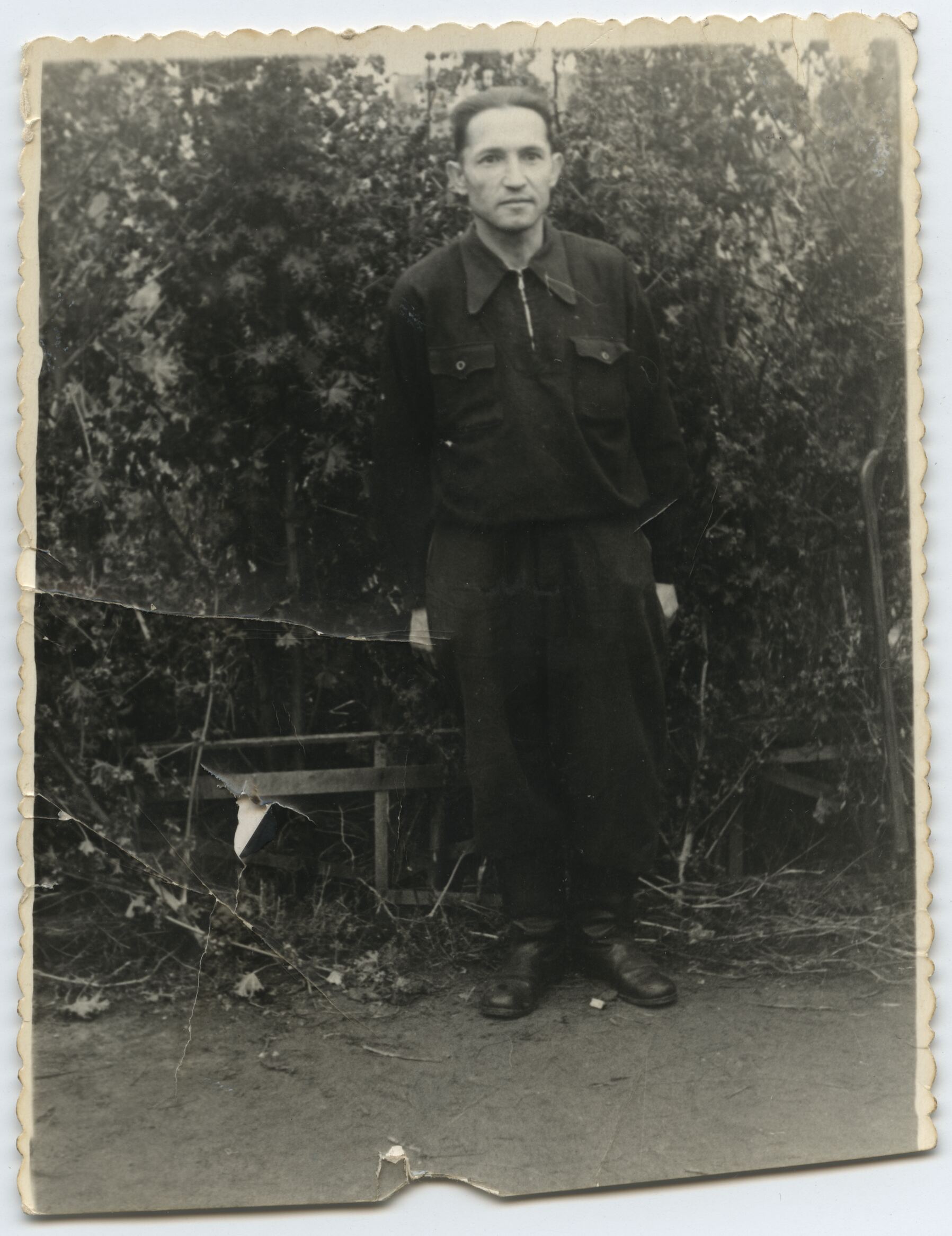 Nežinomas autorius, Antanas Navickas greta darželio gėlių