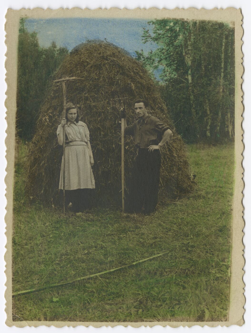 Nežinomas autorius, Aldona ir Juozas ruošia šieną žiemai