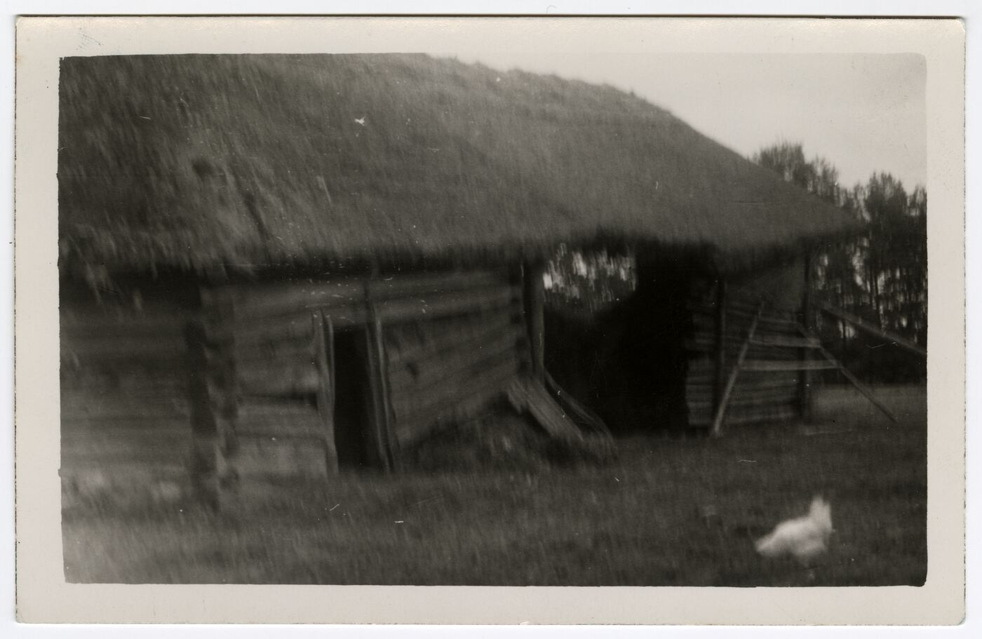 Peliksas Bugailiškis, Gyvulių tvartas