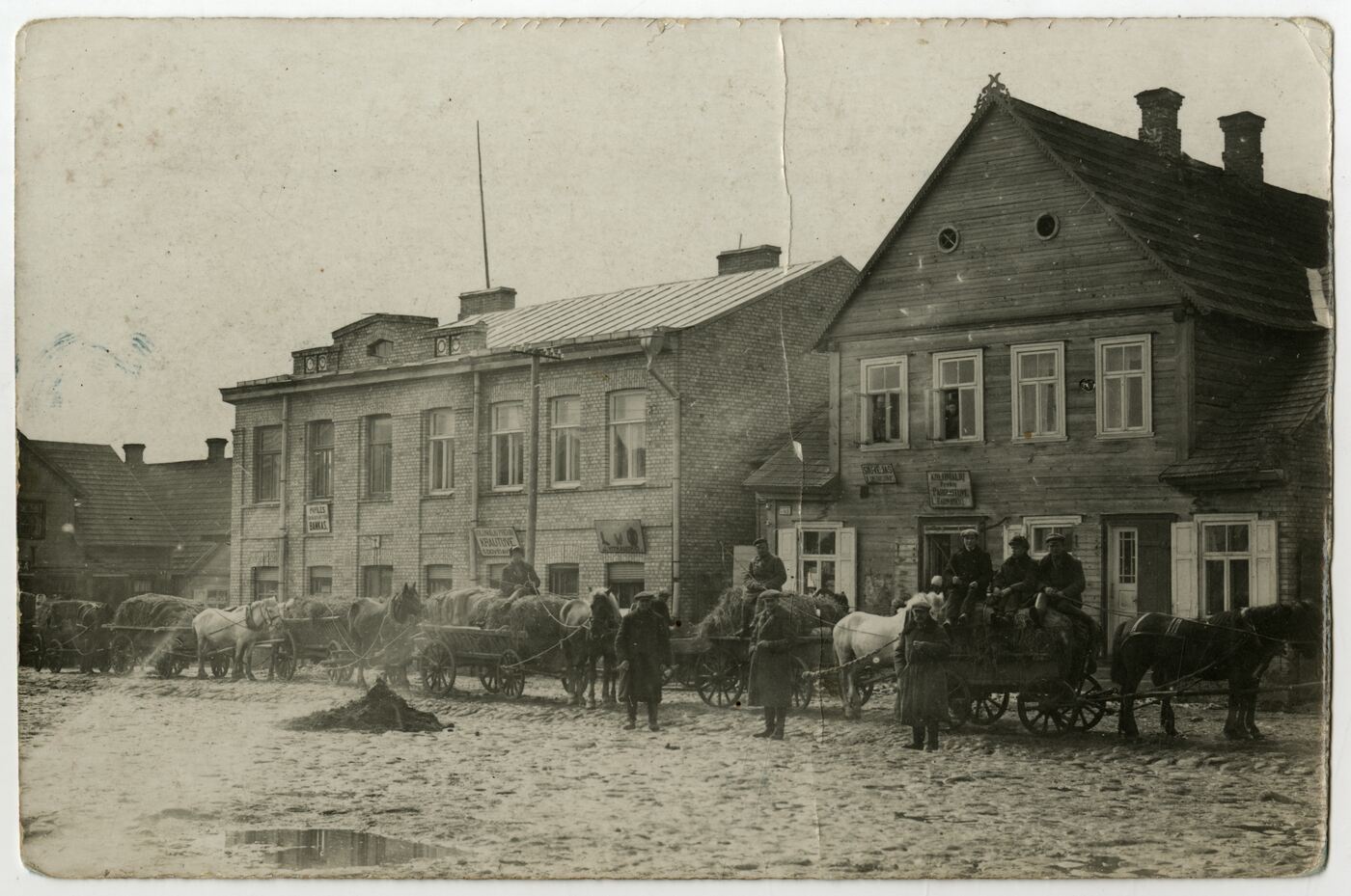 Nežinomas autorius, Papilėje