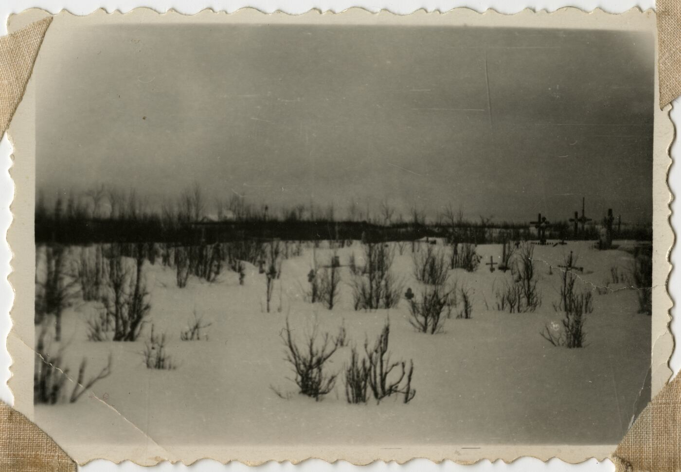 Nežinomas autorius, Igarkos tundra