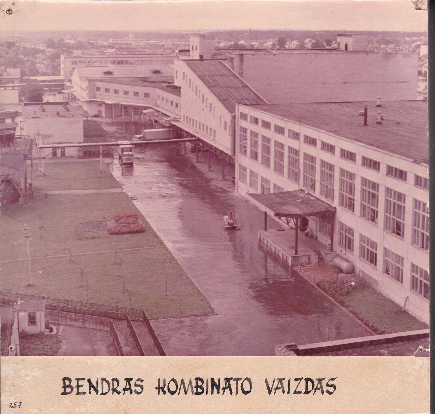 Nežinomas XX a. II p. fotografas, Tauragės mėsos kombinatas